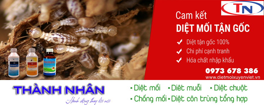 diệt mối quy nhơn