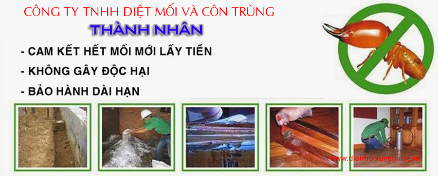 diệt mối quy nhơn