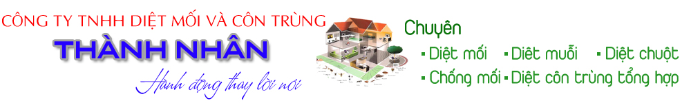 công ty diệt mối bình định
